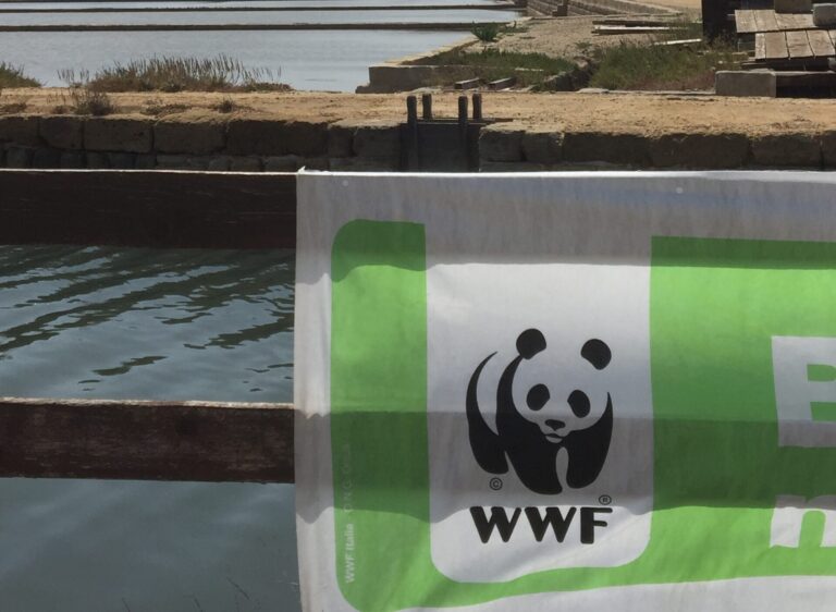 Saline di Trapani e Oasi WWF