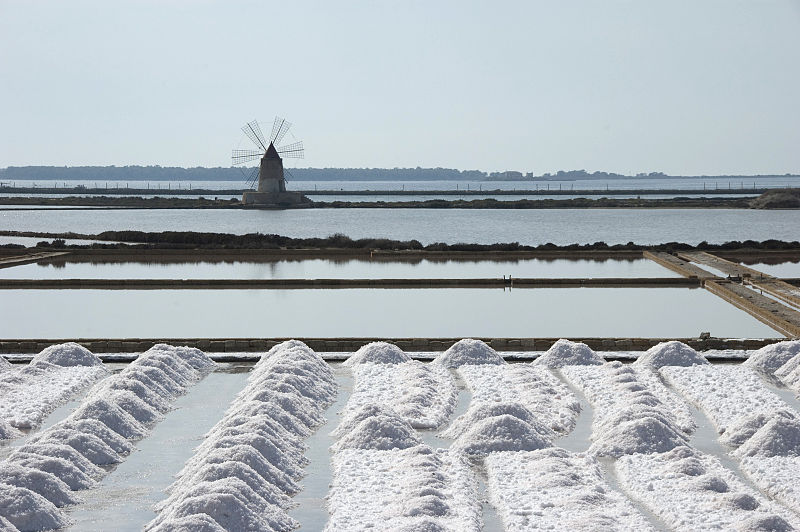 Salina Calcara di Trapani e Paceco - Panoramica Saline