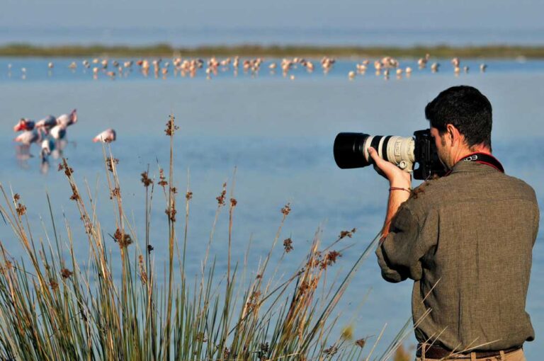 Birdwatching nelle saline trapanesi