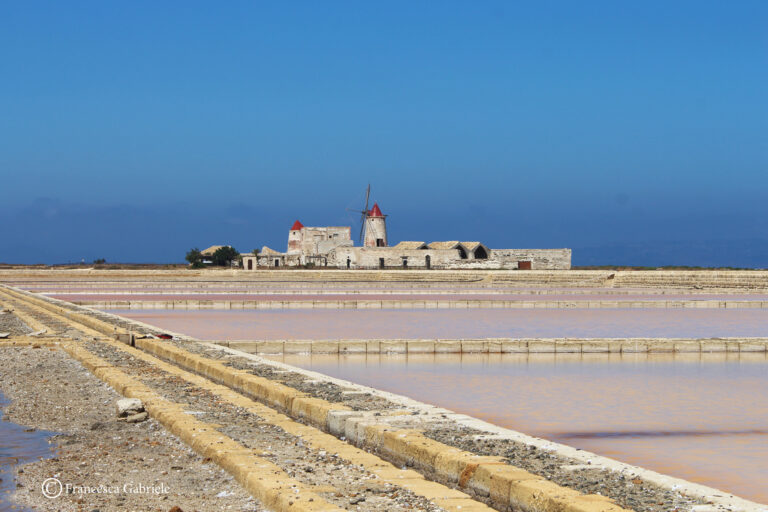 Saline di Trapani e Salina Calcara: panoramica